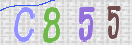 Code Anti-spam